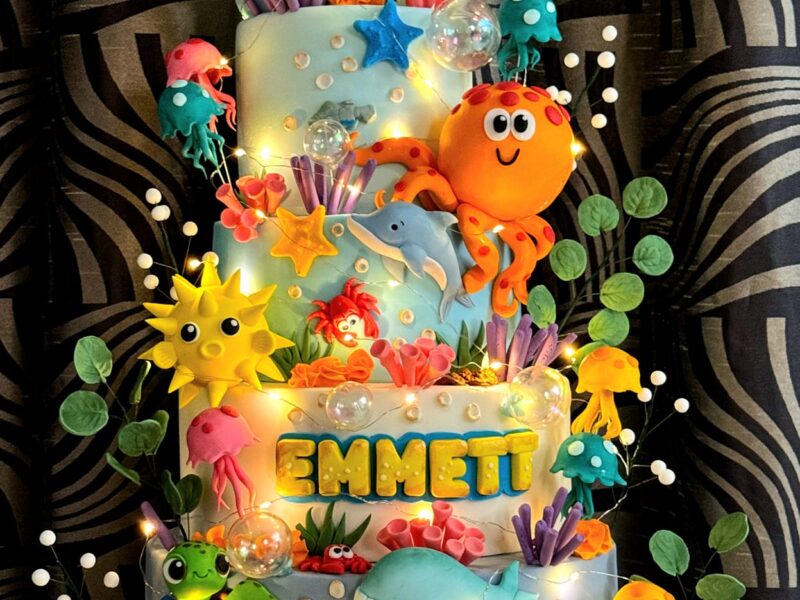 Ryan's Cake - Themed Cakes for All Occassions