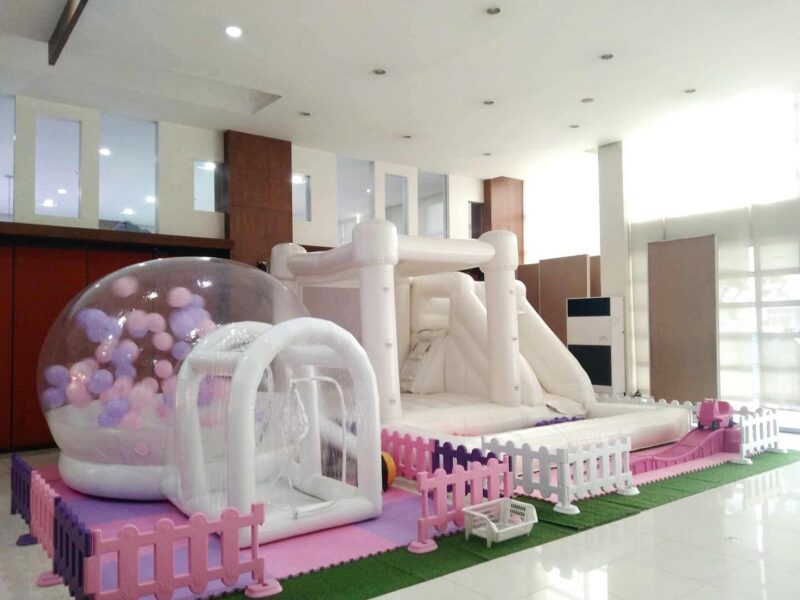 The Inflatables by Julianna – Bringing Fun to Every Celebration