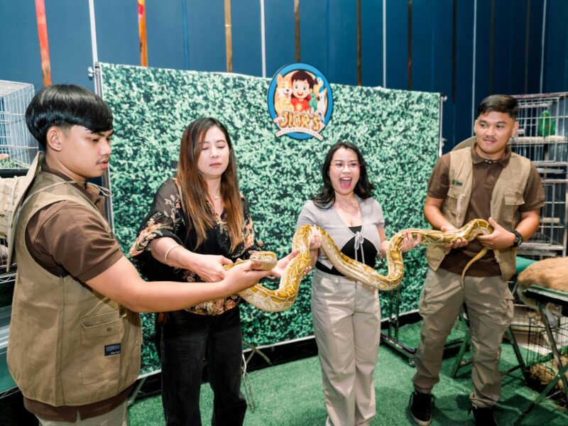 Experience the Magic of Animals with Petting Zoo Corner by Gabby!