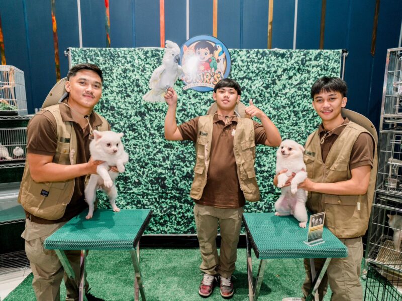 Experience the Magic of Animals with Petting Zoo Corner by Gabby!