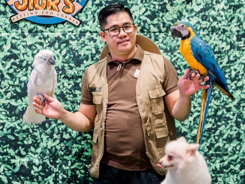 Experience the Magic of Animals with Petting Zoo Corner by Gabby!