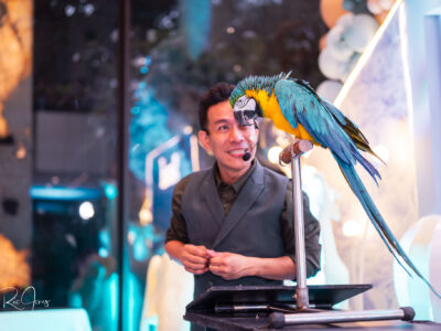 Magic of Marcus – Magician, Host & Parrot Whisperer 🦜