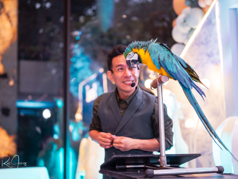 Magic of Marcus β Magician, Host & Parrot Whisperer π¦