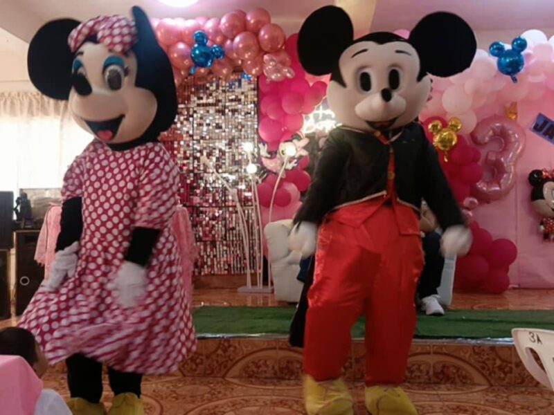 Bring Your Event to Life with Sam & Angel Party Events Mascots!